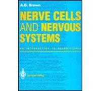Nerve Cells And Nervous System: An Introduction To Neuroscience