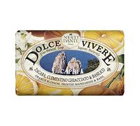 Nesti Dante Lot de 3 savons Dolce vivere Capri 3 x 250 g
