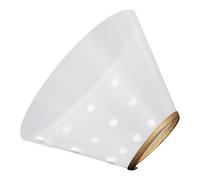 NESTINGHO Collier Anti-griffure pour Chat de Récupération Réglable en Plastique Or, Cône et Anti-Morsure Cicatrisation des Plaies Après Chirurgie