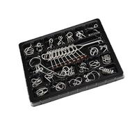 NESTINGHO Lot de 25 Casse-têtes en Métal Intelligents, Anneaux de Puzzle Cérébral Multifonctions, Jeu Éducatif IQ pour Garçon et Filles et Adultes, Divertissement Stimulant, pour Jeu