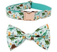 NestTimes Nœud Papillon détachable pour Chien, Collier réglable pour Chiens de Petite Taille et Moyenne, L(15''-24''), Dinosaure