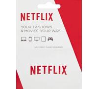 Netflix Gift Card 100 EUR Key FRANCE