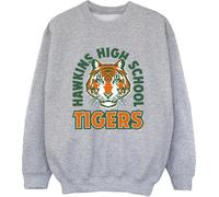 Netflix - "Stranger Things Hawkins" Sweat-shirt pour garçon BI33513 (140-146) (Gris)