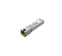 NETGEAR AXM765 1PT 10GBASE-T SFP+ MODULE, W127084071 (MODULE)