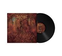 Netherheaven Vinyle