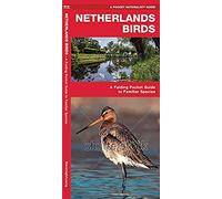 Netherlands Birds