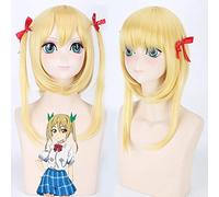 Netoge No Yome Wa Onnanoko Ja Nai à Omotta Segawa Akane moyenne longue droite Cosplay perruques pour femmes filles Anime perruque universelle