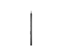 NetShelter Rack PDU Advanced - Unité de distribution secteur (rack-montable) - prise commutée avec compteur - AC 400/415 V - 11.5 kW - 11500 VA -