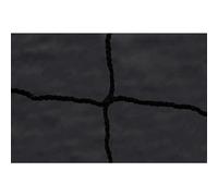 Netsportique Filet de Foot de Stade (Box 2 x 2m), 4 mm - Couleur Noir