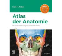 Netter Atlas der Anatomie: Deutsche Bearbeitung von Christian Hammer