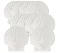 Nettoppo 15 PCS Coquillage Naturel Grand Blanc, Saint-Jacques de 4 à 4,7 Pouces pour Le Bricolage, Le Service de la Nourriture, la Pâtisserie et Plus, Facile à Utiliser