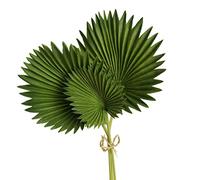 Nettoppo 3 PièCes Feuilles de Palmier Artificielles Bouquet Vert en Plastique Faux Plantes Simulation Feuilles Arrangement de Fleurs DéCoration de
