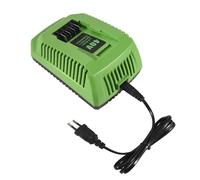 Nettoppo Chargeur de Batterie au Lithium 40V pour GreenWorks 29482 G-MAX 40V Batterie Li-Ion 29472 29482 29652 G40825 Prise EuropéEnne