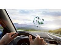 Nettoyage complet offert pour tout remplacement de pare-brise