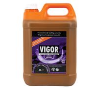 Nettoyant dégraissant surpuissant Vigor Surpuissant 5 L