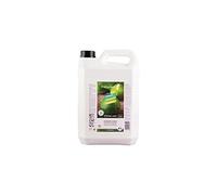 Nettoyant désinfectant - 5 L - citron