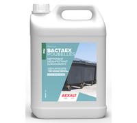 Nettoyant désinfectant surodorant Bactaex poubelles bidon de 5 L AEXALT ND310