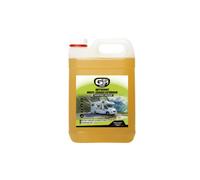 Nettoyant Extérieur Multi-usages 5l - Shampooing Concentré Gs27