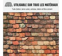 Nettoyant flash pour toiture tuile, béton, ardoise, terre cuite ACTION ULTRA RAPIDE 200 L