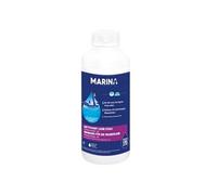- Nettoyant ligne d'eau Liquide 1 L