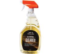 Produits de nettoyage pour barbecue Traeger Nettoyant naturel pour barbecue 950 ml