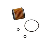 Nettoyant pour Filtre Huile Moteur Moto 250cc pour TNT25 pour TNT250 pour BN251 pour TRK251 pour LEONCINO250 / BN pour TNT pour TRK Filtre À Huile(Filter and Seal)