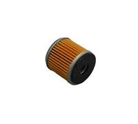 Nettoyant pour Filtre Huile Moteur Moto 250cc pour TNT25 pour TNT250 pour BN251 pour TRK251 pour LEONCINO250 / BN pour TNT pour TRK Filtre À Huile(1pcs Oil Filter)