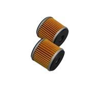 Nettoyant pour Filtre Huile Moteur Moto 250cc pour TNT25 pour TNT250 pour BN251 pour TRK251 pour LEONCINO250 / BN pour TNT pour TRK Filtre À Huile(2pcs Oil Filter)
