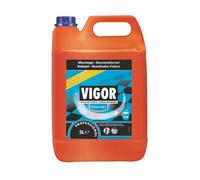 Vigor Fresh Force détergent surodorant, 5 L
