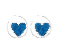 Nettoyeur Accessoires Perles Trousse Examen Bijoux Oil Love Earrings Love Heart Dangle Earrings Dainty Jewelry Pince Cadeaux Outils Kits (Blue, One Size)