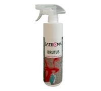 Nettoyeur de graffitis BRUTUS - SATECMA
