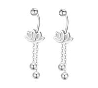 Nettoyeur Kits Organisateur Bijoux For Women Cartilage 925 Sterling Silver Cubic Zirconia Chain Tassel Dangle Drop Earring Screw Back Ear Jacket Studs Pâte Trousse Nettoyeur (Silver, One Size)