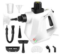 Nettoyeur Vapeur à Main, 1000W DAYPLUS pour Punaises de Lit, Accessoires inclus, Multifonctions Nettoyeur Vapeur à main