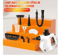 Nettoyeur Vapeur à Main 1000W Punaises de Lit, DAYPLUS, 3,2 Bar, 100-110°C pour Cuisine/Salle de Bain/Maison/Auto/Tissus