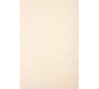 Netuno 100x papier cartonné beige clair A4 297 x 210 mm 180g Aster Laguna Sand papier marbré cartonné carton à effet marbré carton décoratif pour certificats invitations cartes de vœux cartes de table