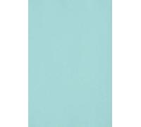 Netuno 100x papier cartonné bleu clair A4 210 x 297 mm 250g Burano Azzurro carton de couleur papier cartonné imprimable pour bricolage cartes d’invitation cartes de vœux marque-places menus