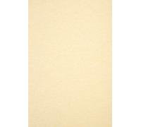 Netuno 100x papier cartonné crème A4 297 x 210 mm 180g Aster Laguna Cream papier marbré cartonné carton effet marbré carton décoratif pour certificats invitations cartes de vœux menus cartes de table