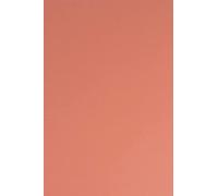 Netuno 100x papier cartonné flamant rose A4 210x297mm 210g Sirio Color Flamingo papier épais de couleur pour tickets anniversaire mariage invitations bricolage Noël brochures cartes de menu