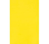 Netuno 100x papier cartonné jaune A4 210 x 297 mm 250g Burano Giallo Zolfo carton de couleur papier cartonné imprimable pour bricolage cartes d’invitation cartes de vœux marque-places menus