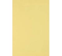 Netuno 100x papier cartonné jaune clair A4 210 x 297 mm 250g Burano Giallo carton de couleur papier cartonné imprimable pour bricolage cartes d’invitation cartes de vœux marque-places menus