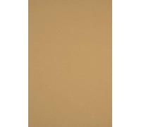 Netuno 100x papier cartonné marron clair A4 210x297mm 210g Sirio Color Bruno papier épais de couleur pour tickets anniversaire mariage invitations Noël cartes de vœux brochures cartes de menu