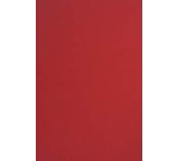 Netuno 100x papier cartonné rouge A4 210x297mm 210g Sirio Color Lampone papier épais de couleur pour tickets anniversaire mariage invitations bricolage Noël cartes de vœux brochures cartes de menu