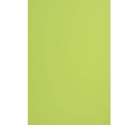 Netuno 100x papier cartonné vert clair A4 210x297mm 210g Sirio Color Lime papier épais de couleur pour tickets anniversaire mariage invitations bricolage Noël cartes de vœux brochures cartes de menu