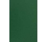 Netuno 100x papier cartonné vert foncé A4 210x297mm 210g Sirio Color Foglia papier épais de couleur pour tickets anniversaire invitations bricolage Noël cartes de vœux brochures cartes de menu
