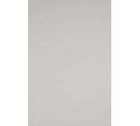 Netuno 100x papier gris A4 210x297mm 170g Sirio Color Perla papier cartonné coloré imprimable carton créatif de couleur pour bricolage mariage invitations cartes de vœux scrapbooking Noël école