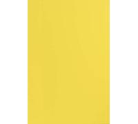 Netuno 100x papier jaune A4 210x297mm 170g Sirio Color Limone papier cartonné coloré imprimable carton créatif de couleur pour bricolage mariage invitations cartes de vœux scrapbooking Noël école