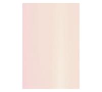 Netuno 100x papier or rose nacré 120g A4 210 x 297 mm Aster Metallic Candy Pink Gold papier métallisé brillant pour bricolage DIY décoration travaux manuels invitations mariages anniversaires