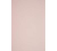 Netuno 100x papier rose pâle A4 210x297mm 115g Sirio Color Nude papier coloré décoratif pour mariage invitations bricolage cartes postales cartes de vœux art et artisanat décoration origami