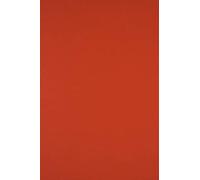 Netuno 100x papier rouge vermillon A4 210x297mm 170g Sirio Color Vermiglione papier cartonné coloré imprimable carton créatif de couleur pour bricolage mariage invitations cartes de vœux Noël école