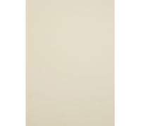 Netuno 10x carton crème A4 210 x 297 mm 250g Crush Citrus papier cartonné écologique carton de bricolage papier éco imprimable pour brochures cartes d'invitation cartes de visite flyers mariage